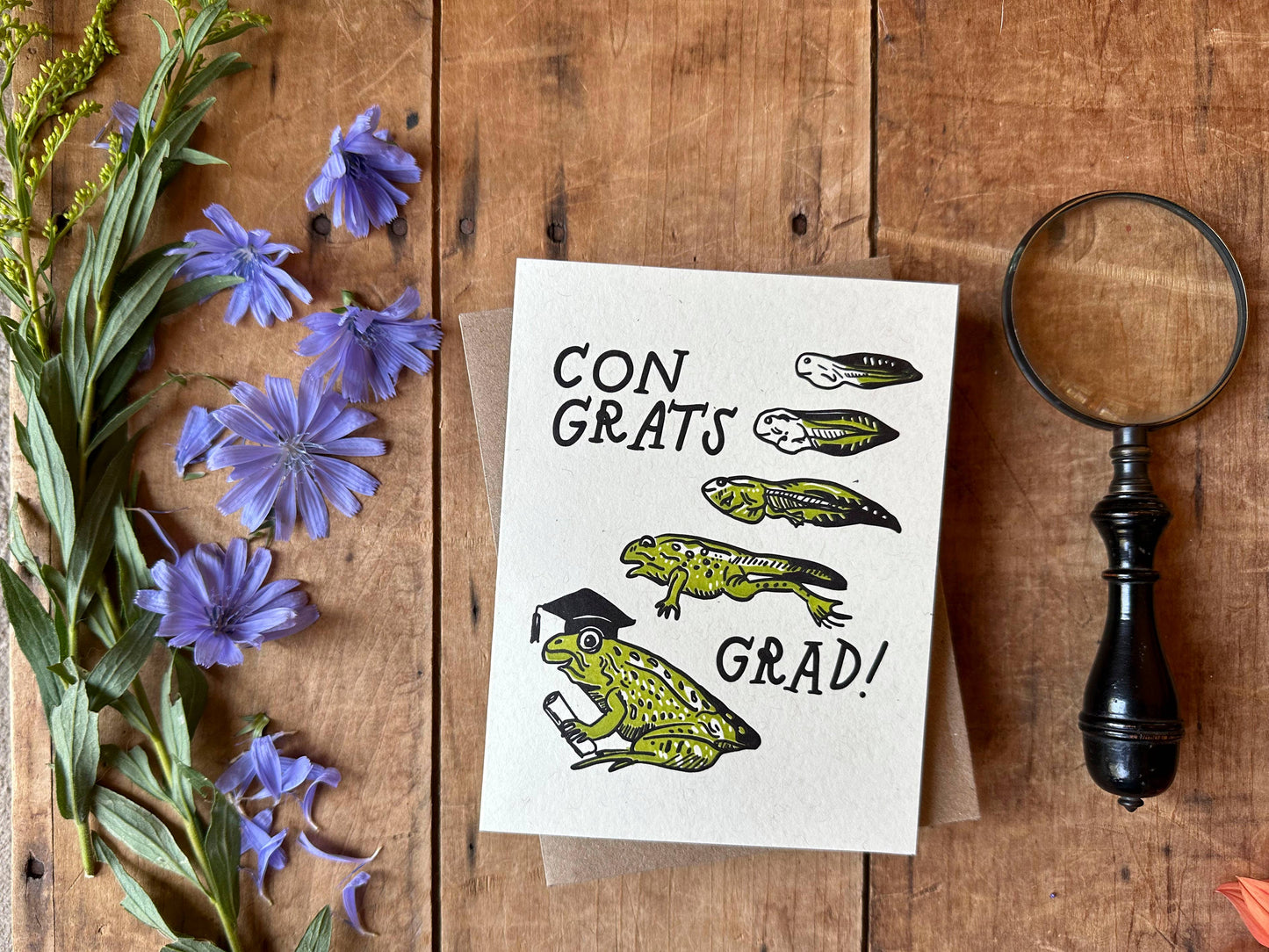 Frog Graduation Card - letterpress