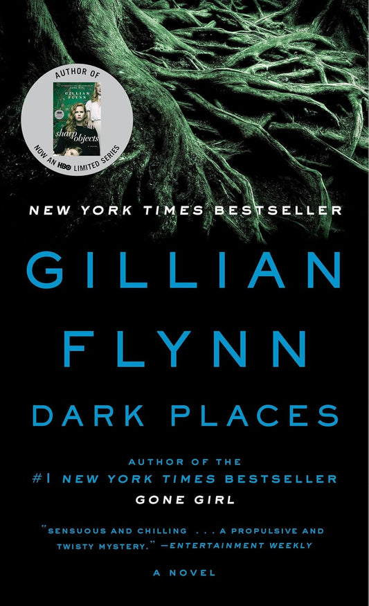 Dark Places by Gillian Flynn (Paperback)