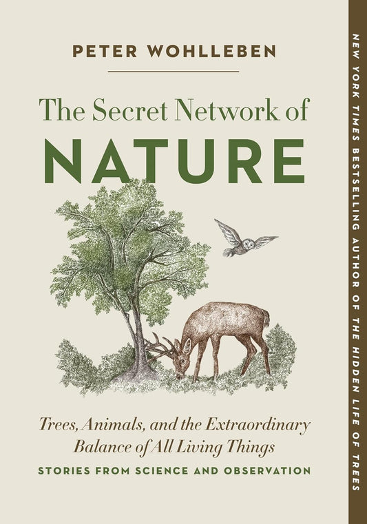 The Secret Network of Nature by Peter Wohlleben (Paperback)