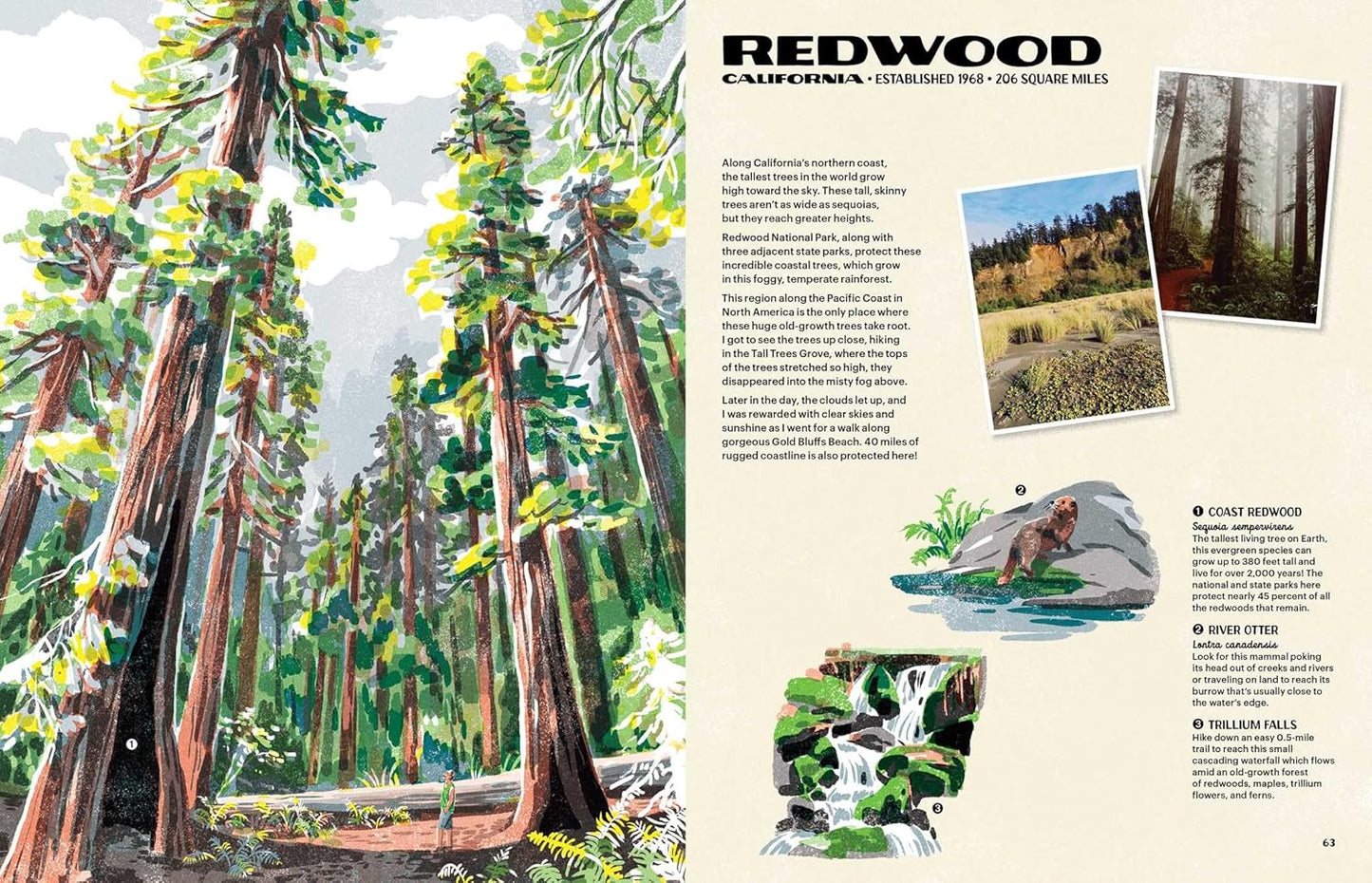 The Nature of Our National Parks by Alexander M. Rigby; Illustrated by Qu Lan