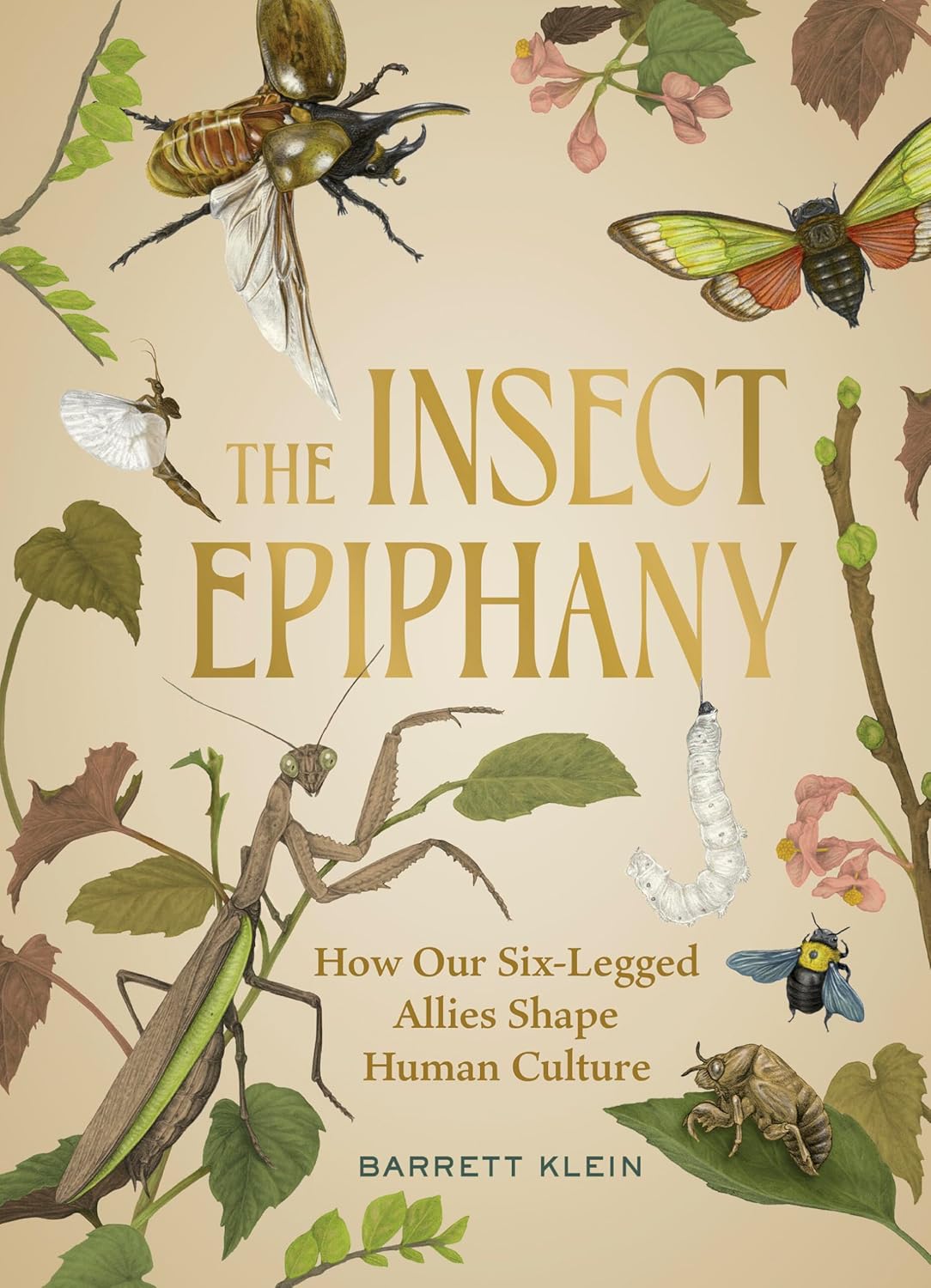 The Insect Epiphany: How Our Six-Legged Allies Shape Human Culture by Barrett Klein (Hardcover)