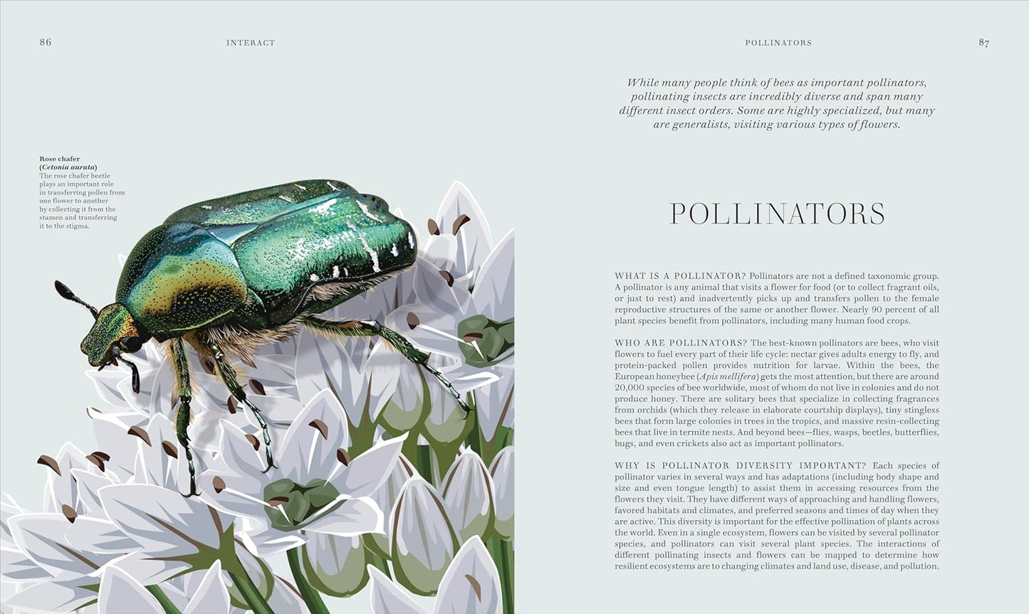 Insects: Discover the Science and Secrets Behind the World of Insects (Hardcover)
