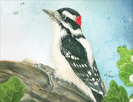 Backyard Birds Boxed Notecard Assortment by Jenny Geuder