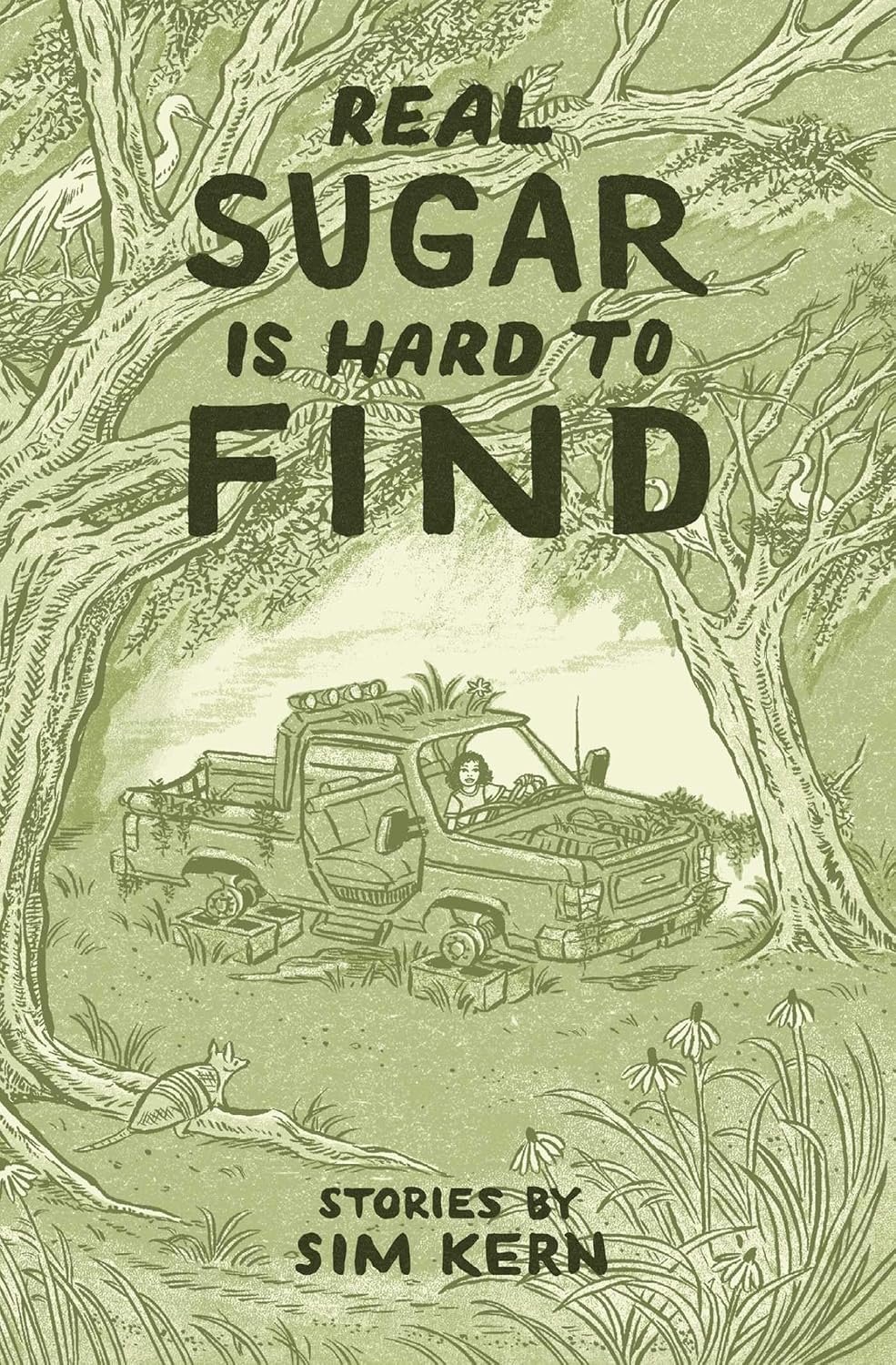 Real Sugar is Hard to Find: Stories by Sim Kern