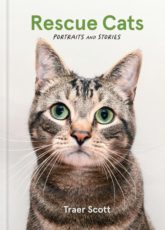 Rescue Cats: Portraits and Stories by Traer Scott (Hardcover)