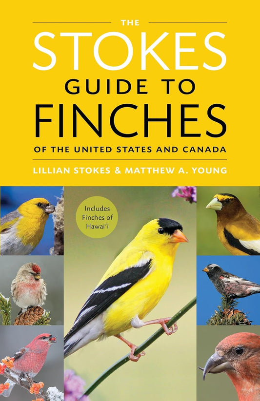 The Stokes Guide to Finches of the United States and Canada by Lillian Stokes and Matthew A. Young (Paperback)