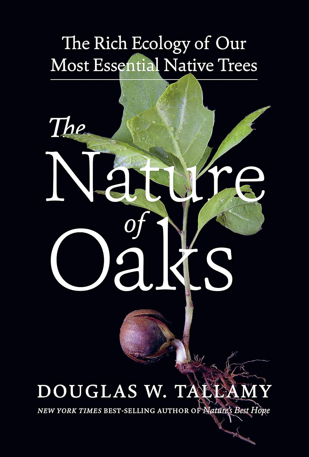 The Nature of Oaks by Douglas W. Tallamy (Hardcover)