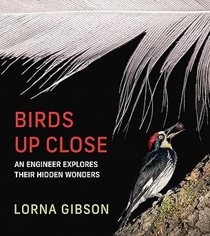 Birds Up Close by Lorna Gibson