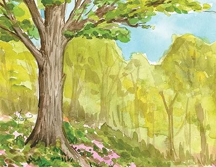 The Seasons Boxed Notecard Assortment by Jenny Geuder