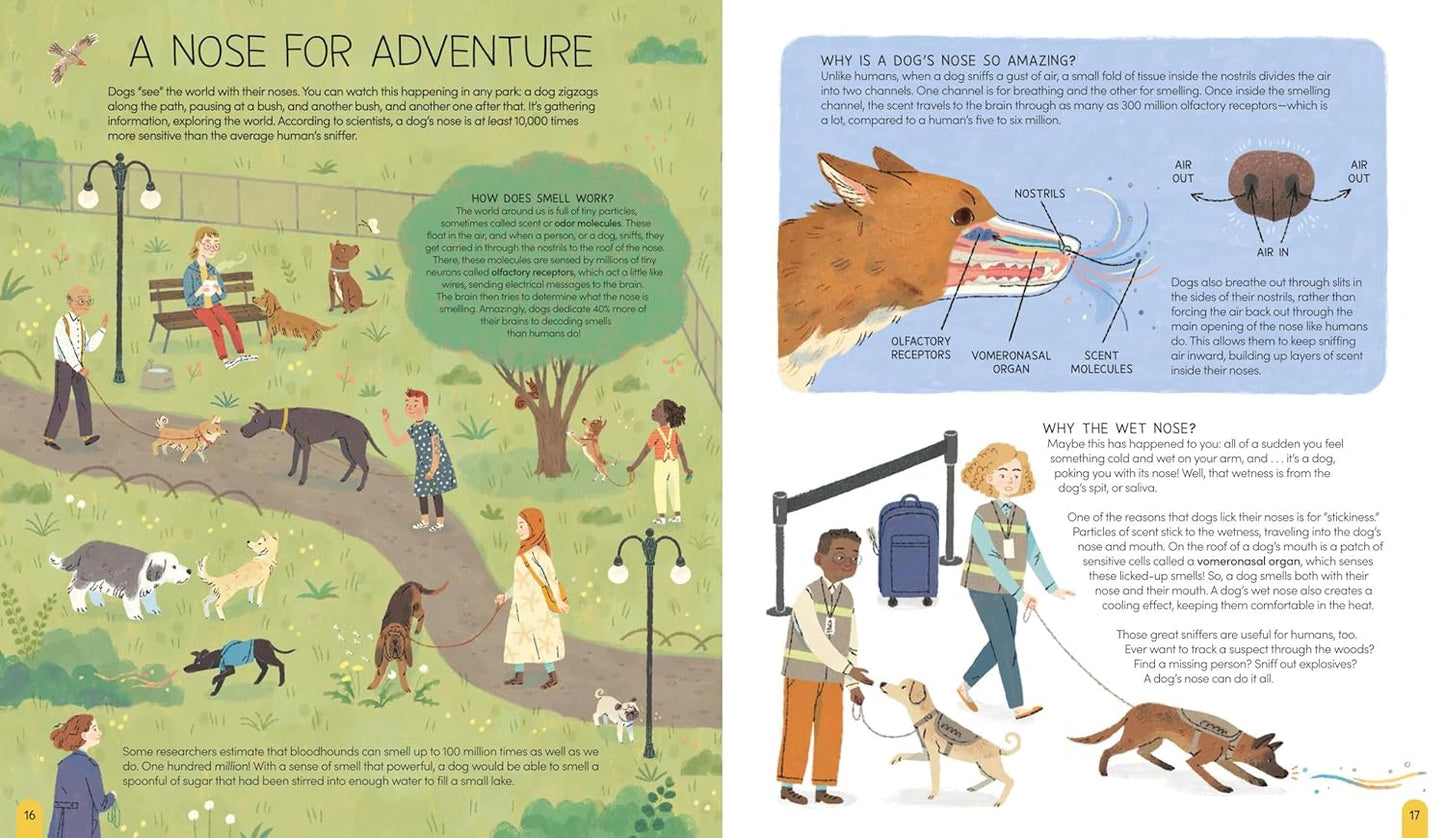 A World of Dogs by Carlie Sorosiak; Illustrated by Luisa Uribe