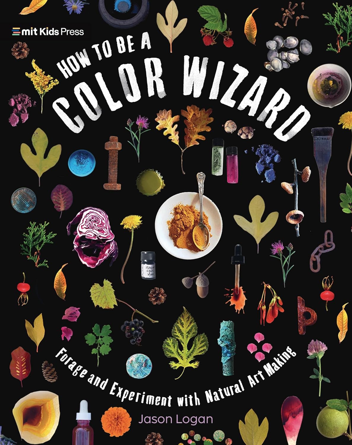 How to Be a Color Wizard: Forage and Experiment with Natural Art Making by Jason Logan (Hardcover)