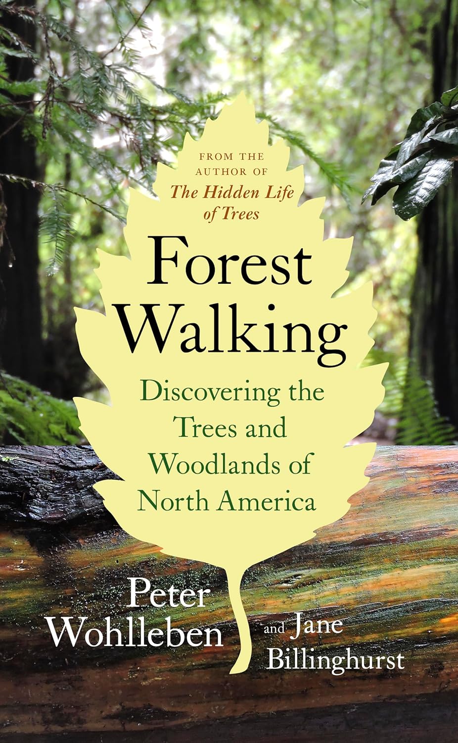 Forest Walking by Peter Wohlleben and Jane Billinghurst (Paperback)