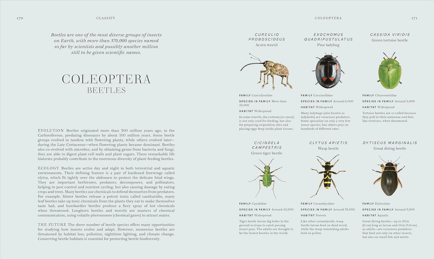 Insects: Discover the Science and Secrets Behind the World of Insects (Hardcover)