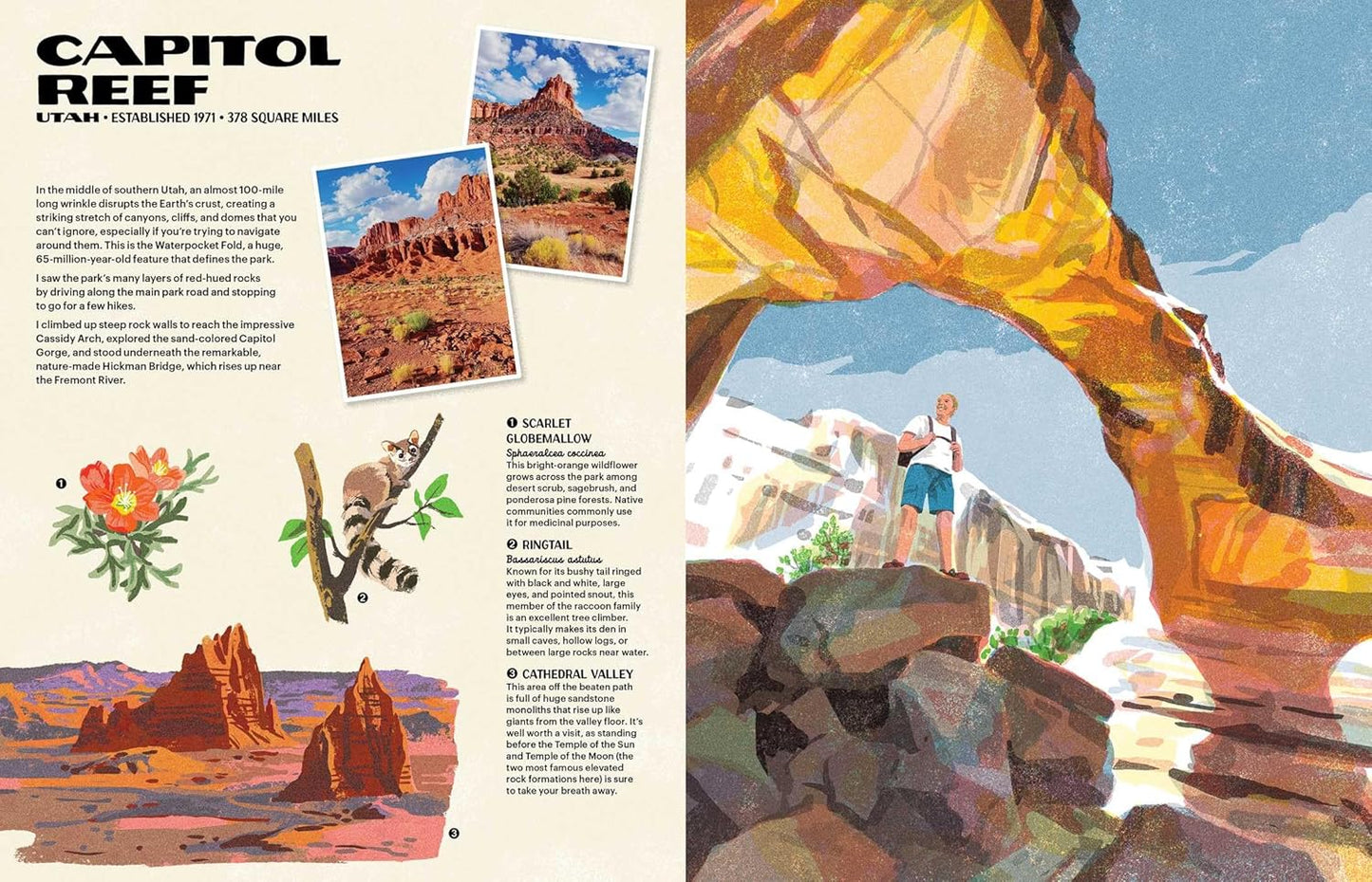 The Nature of Our National Parks by Alexander M. Rigby; Illustrated by Qu Lan