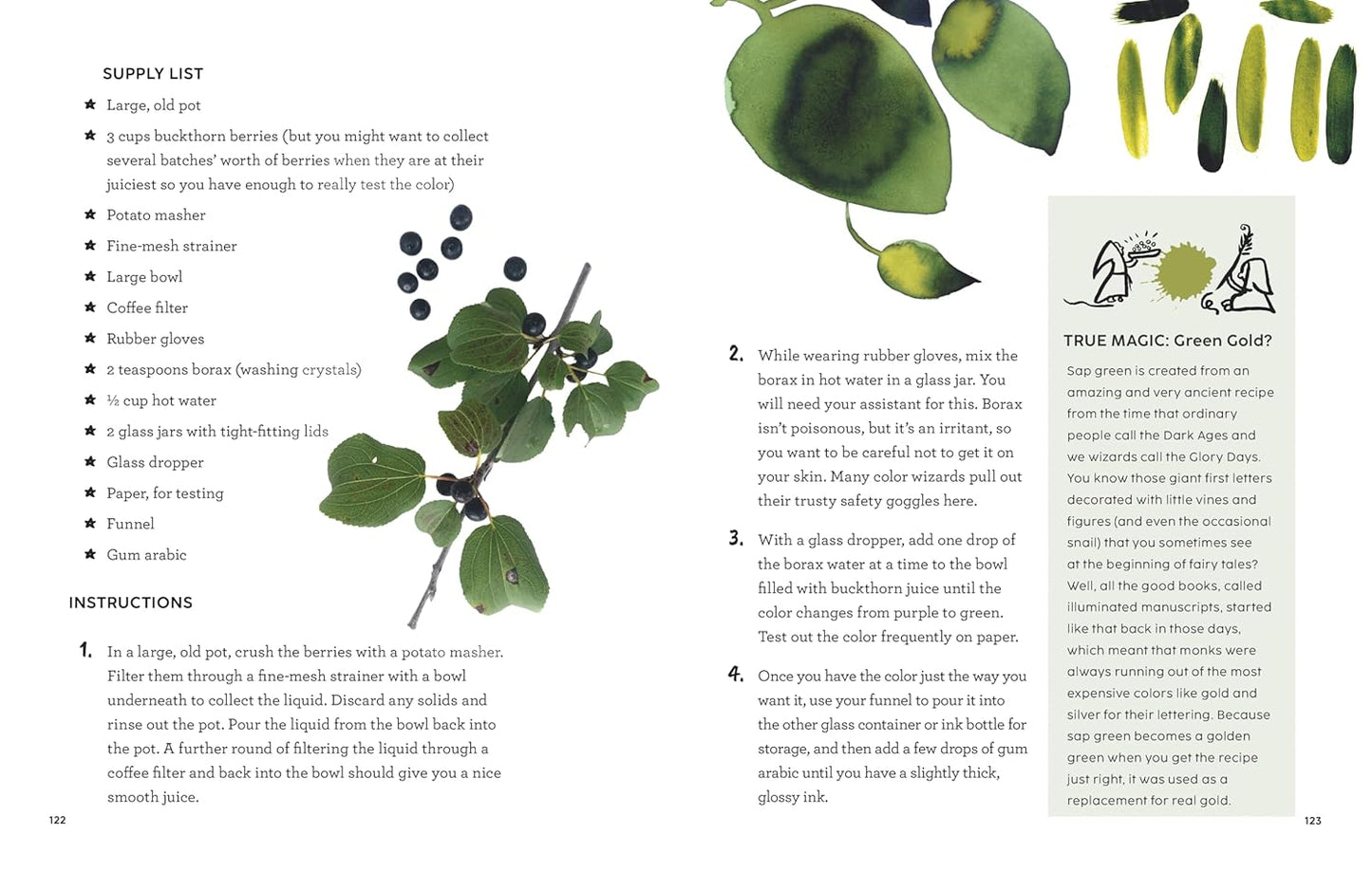 How to Be a Color Wizard: Forage and Experiment with Natural Art Making by Jason Logan (Hardcover)