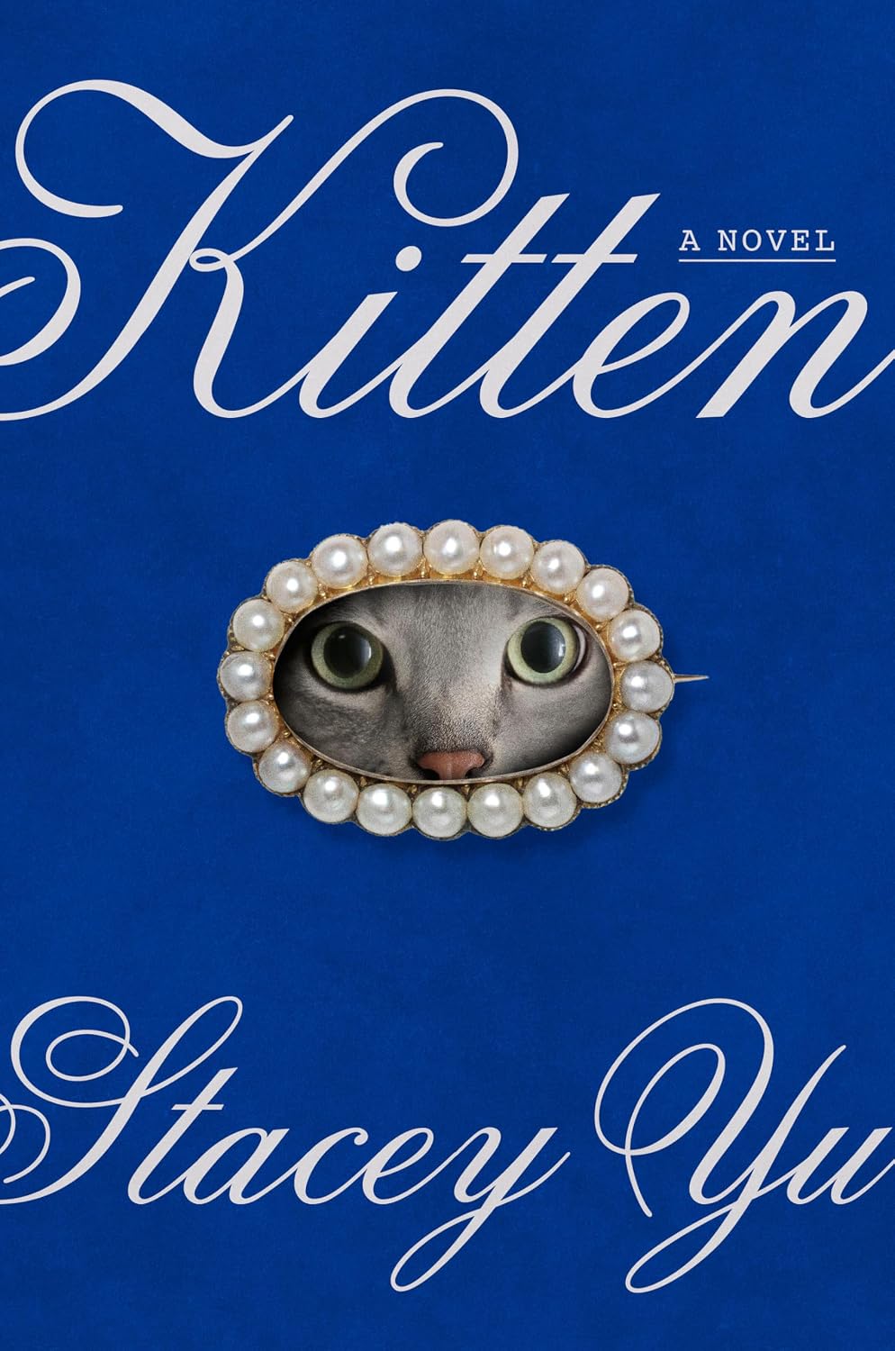 Kitten: A Novel by Stacey Yu