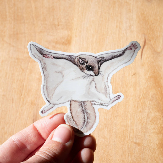 Flying Squirrel 3” Vinyl Sticker