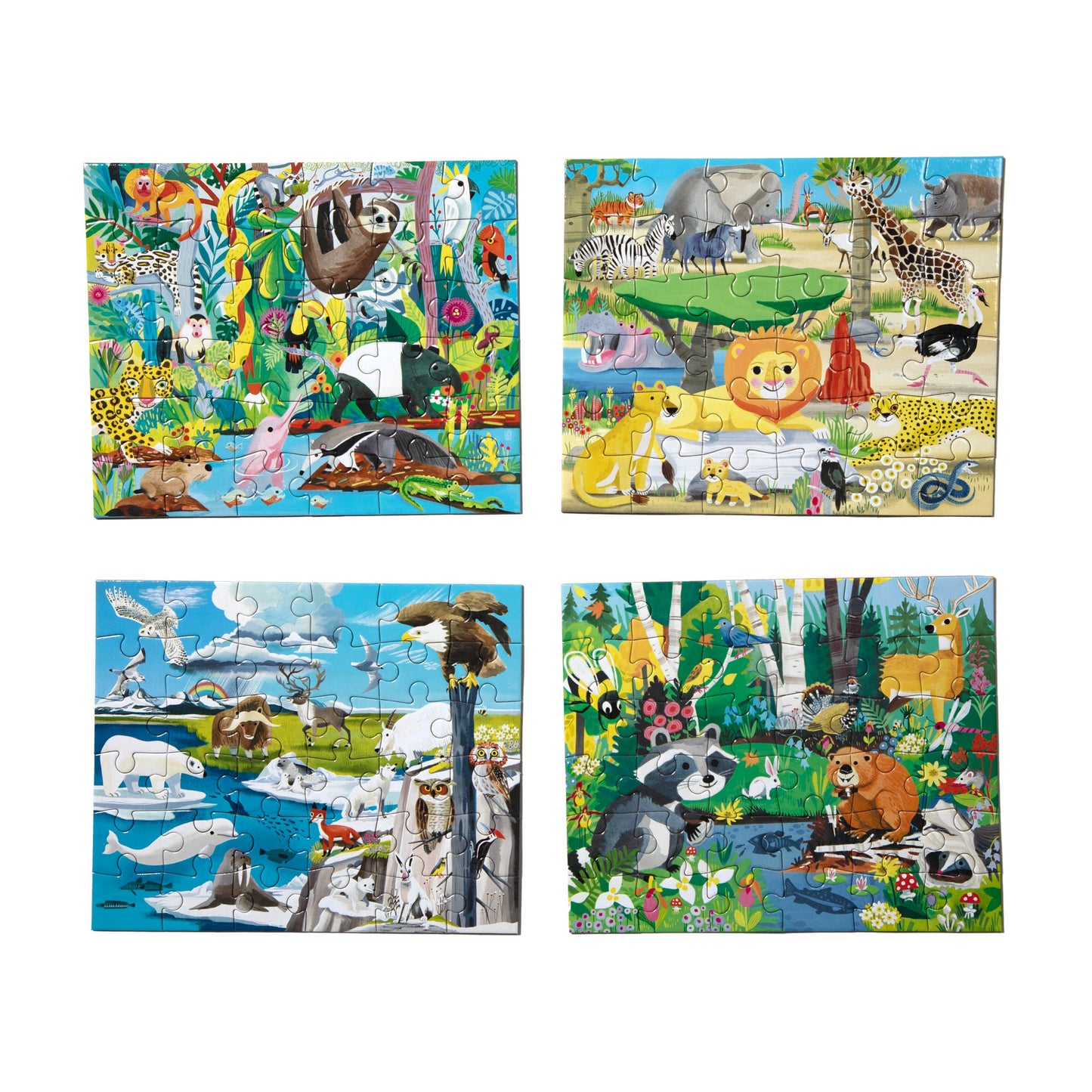 Wild Habitats Miniature Puzzle Assortment
