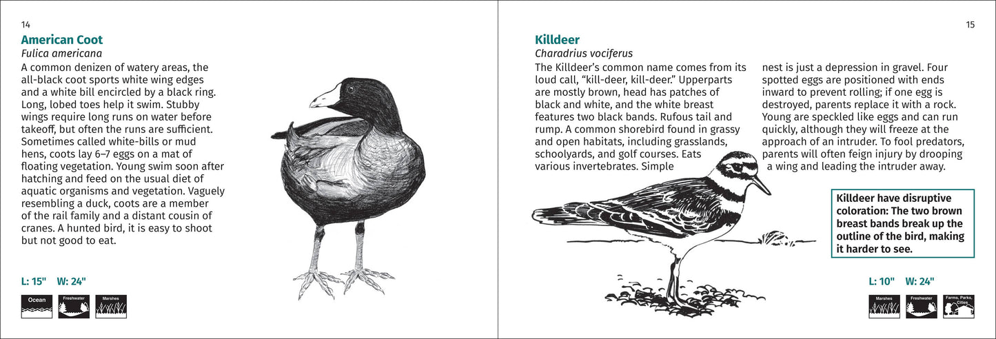 Bird Finder 2nd Edition