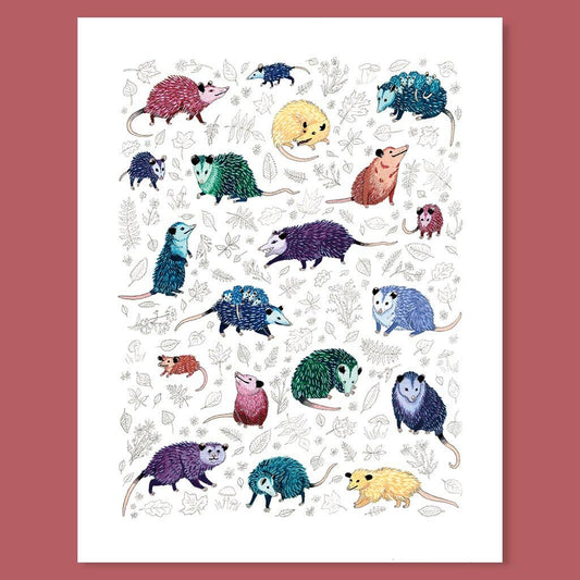 Opossum Passel Print