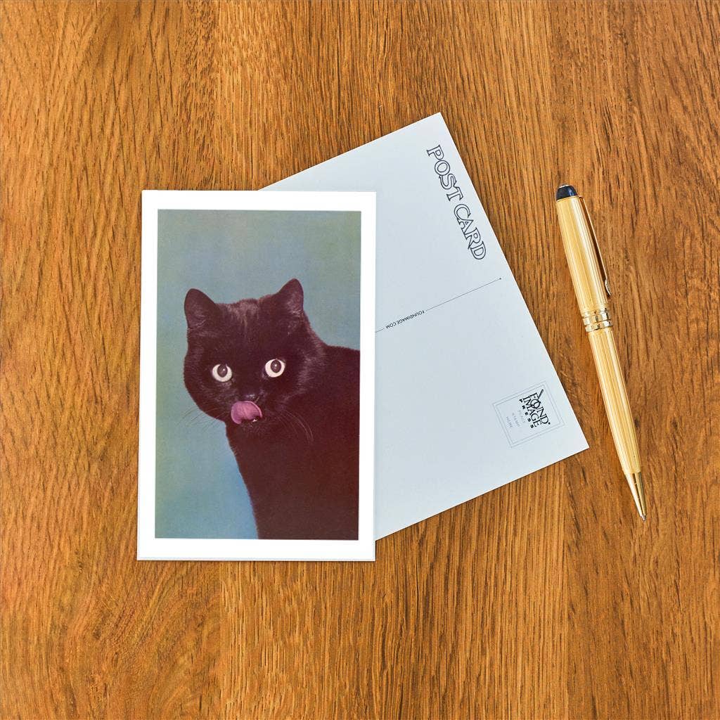 Postcard NP-413 Black Cat Licking Chops
