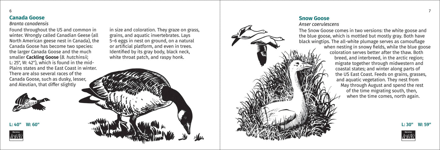 Bird Finder 2nd Edition