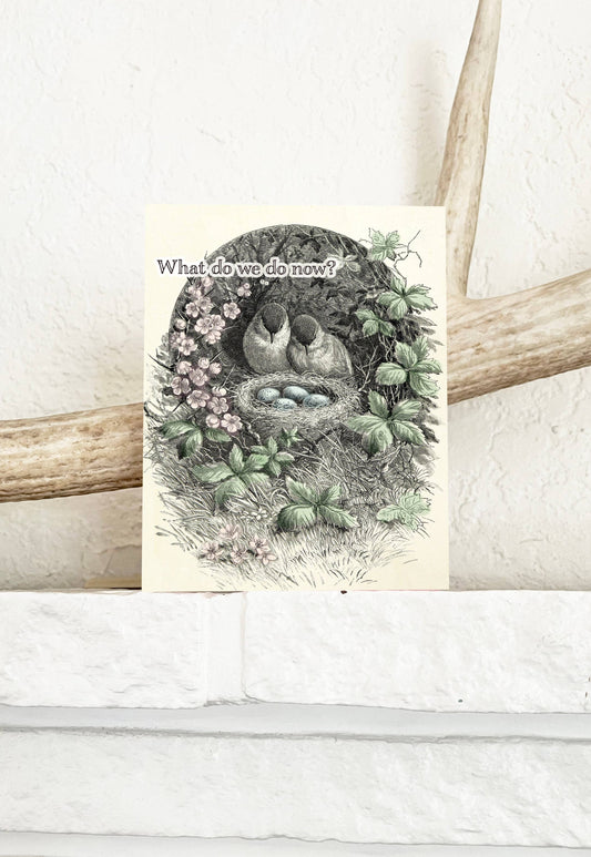 What Do We Do Now - Funny Birds with Nest New Parent Card