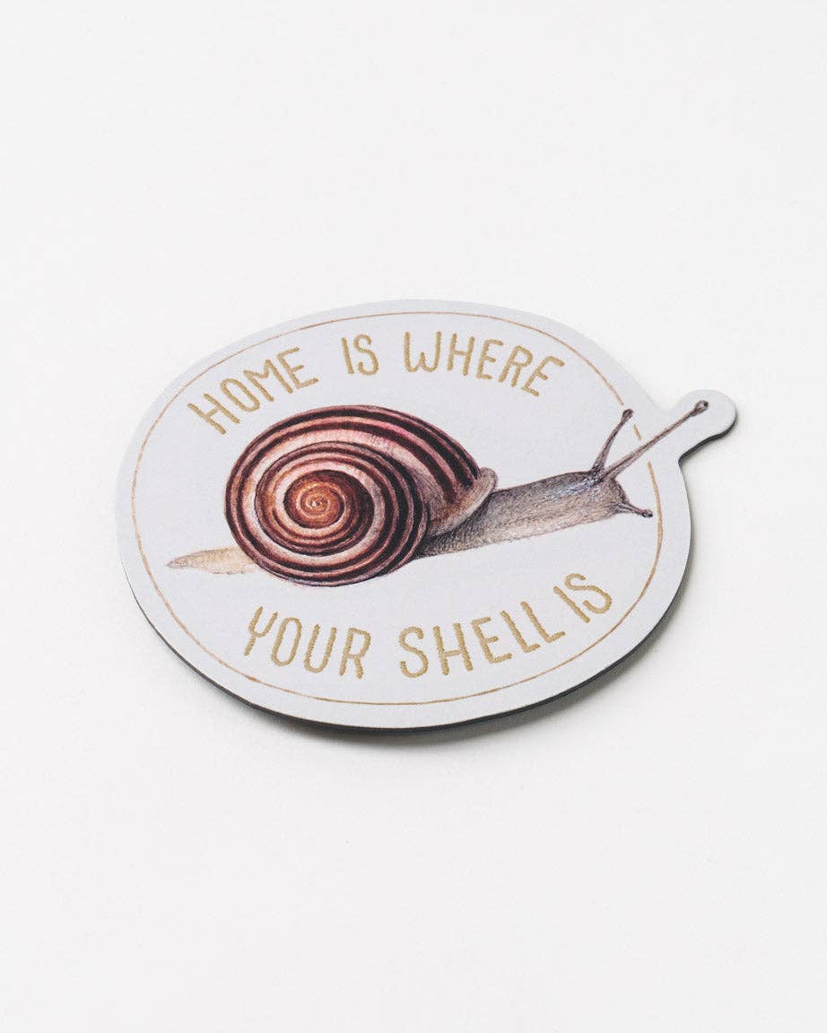 Home is Where Your Shell is Magnet