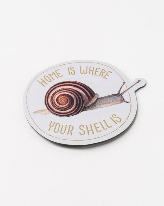 Home is Where Your Shell is Magnet