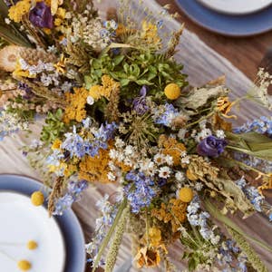 Designing with Dried Flowers by Hannah Muller (Hardcover)