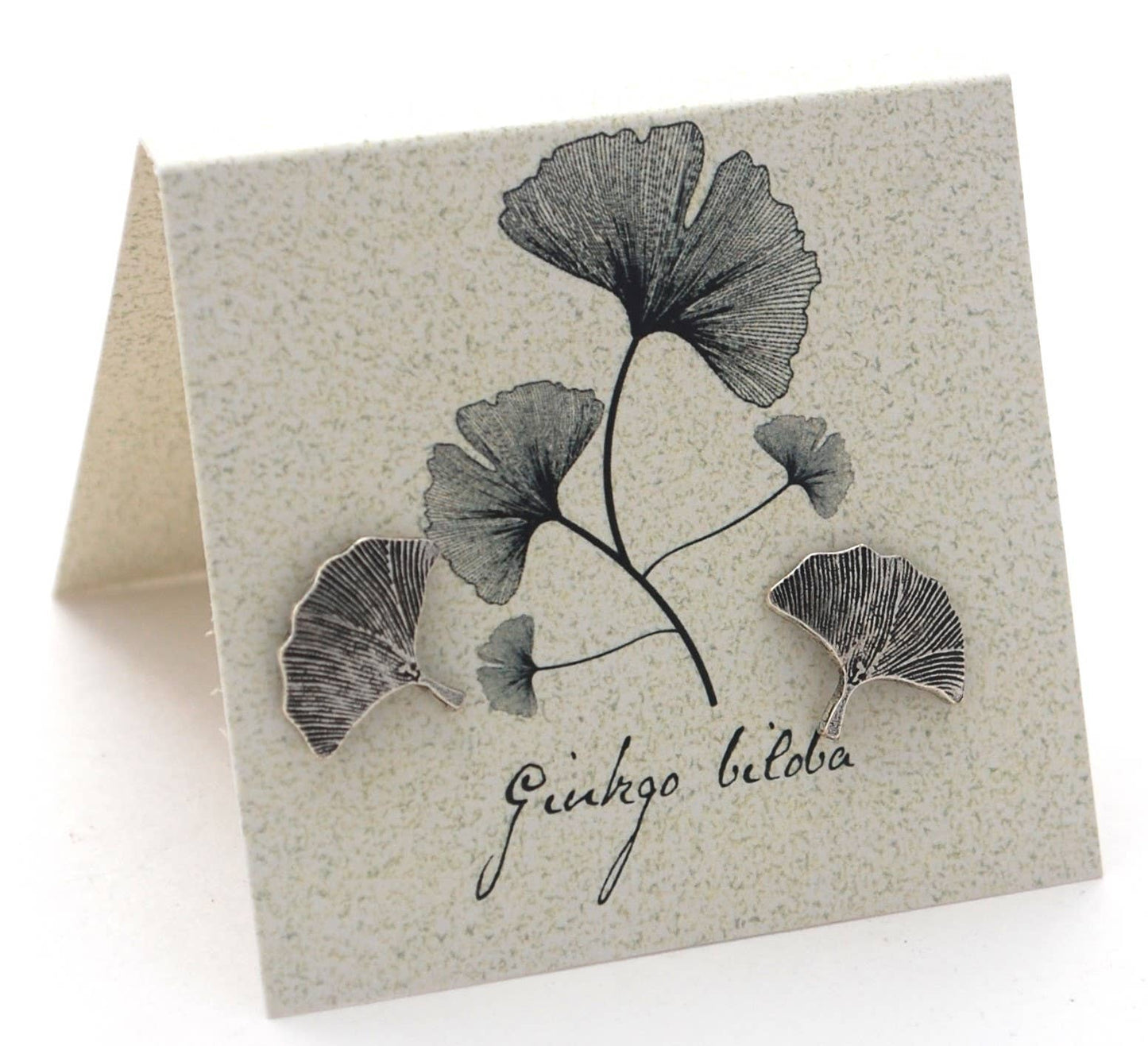 Ginkgo Leaf Stud Earrings - silver Natural History