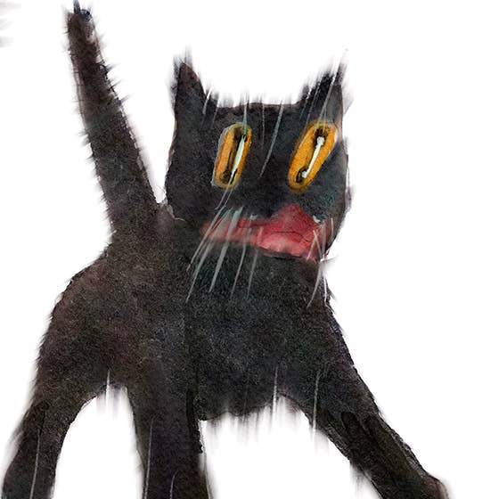 Spooky Black Cats purr-anormal cat-ivities - Funny Halloween Card