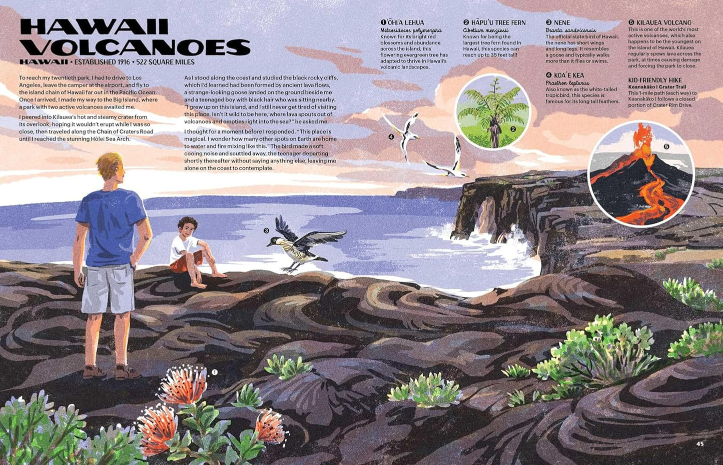 The Nature of Our National Parks by Alexander M. Rigby; Illustrated by Qu Lan