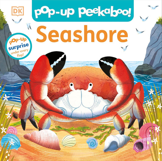 Seashore Pop-up Peekaboo