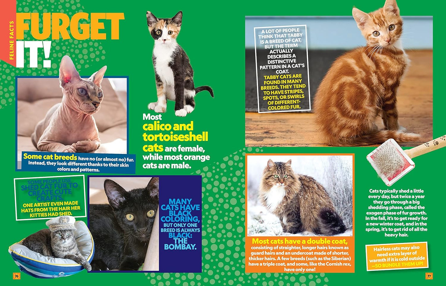 Can't Get Enough Cat Stuff by National Geographic Kids (Paperback)