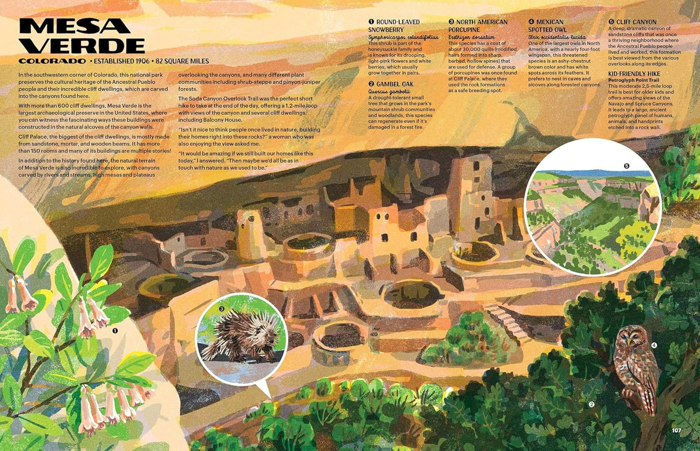 The Nature of Our National Parks by Alexander M. Rigby; Illustrated by Qu Lan