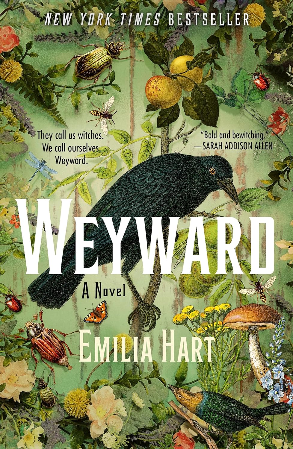 Weyward by Emilia Hart (Paperback)