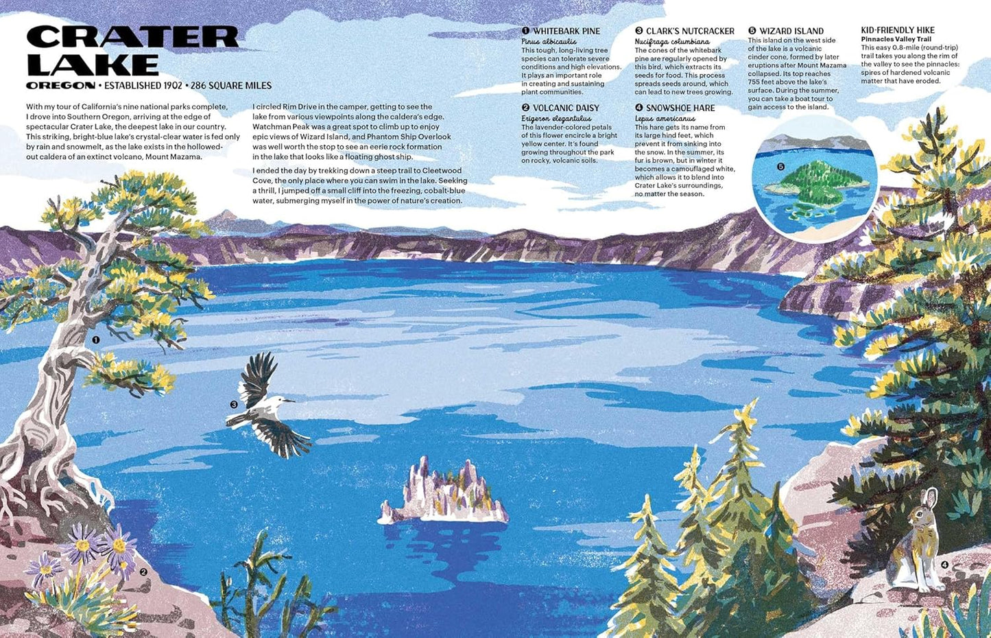 The Nature of Our National Parks by Alexander M. Rigby; Illustrated by Qu Lan
