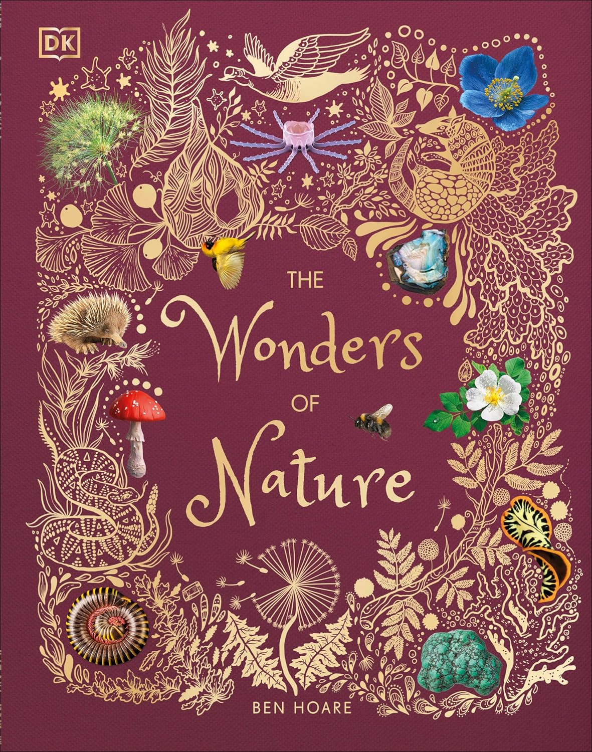 The Wonders of Nature by Ben Hoare; Illustrated by Angela Rizza and Daniel Long