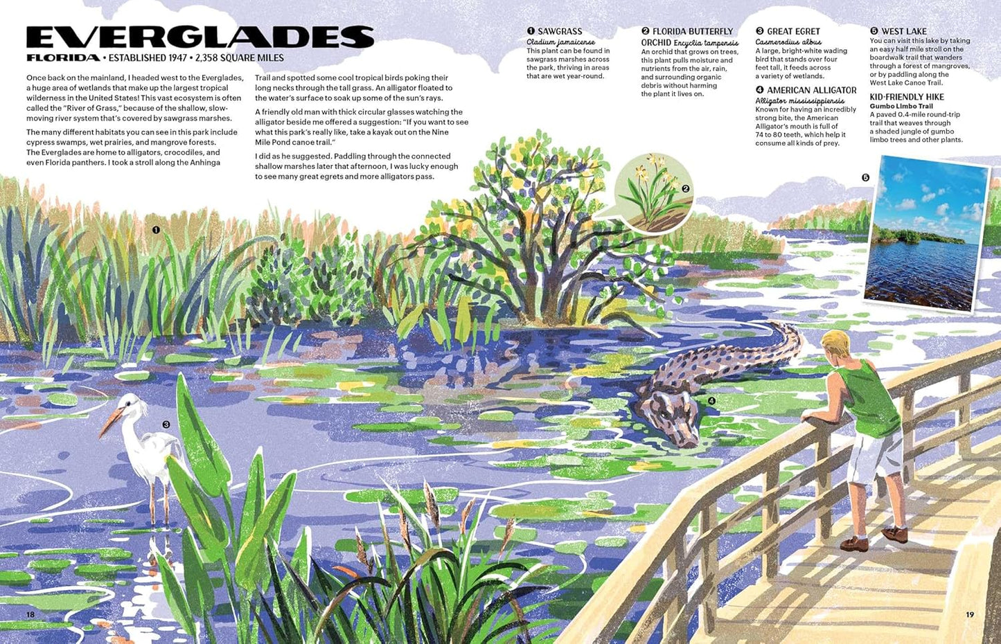 The Nature of Our National Parks by Alexander M. Rigby; Illustrated by Qu Lan