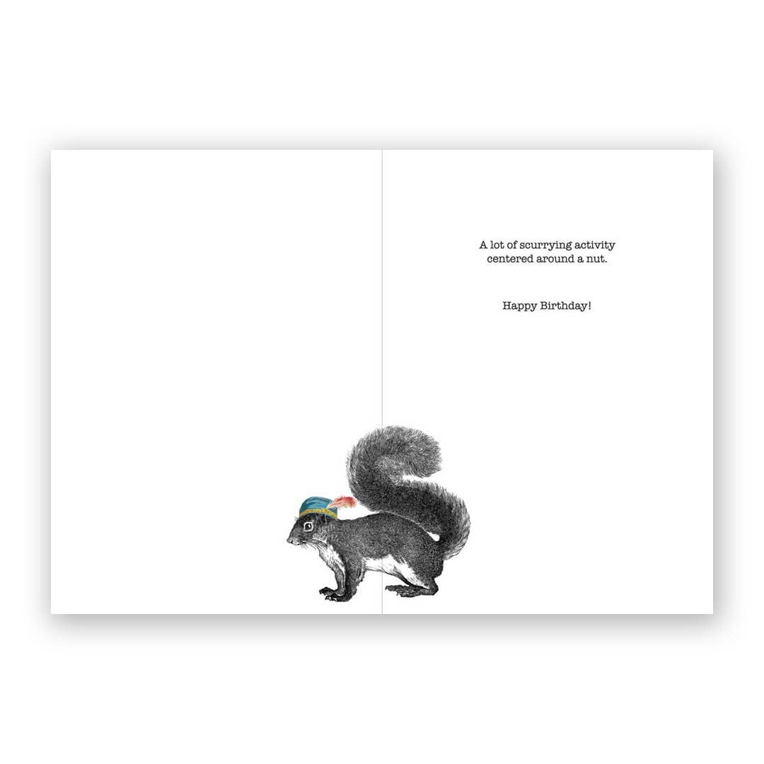 Birthdays are like Squirrels Birthday Greeting Card