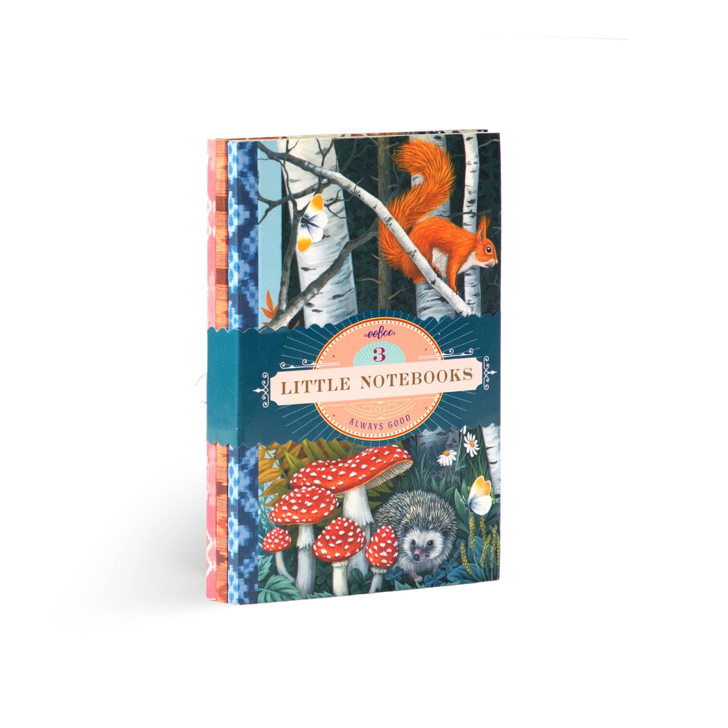 Vasilisa Little Book Set