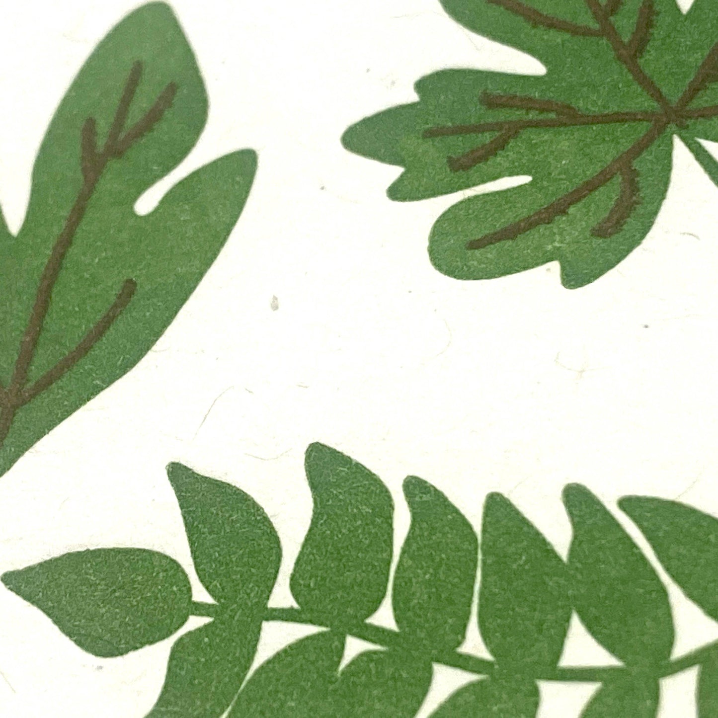 Leaf Thanks Greeting Card Box Set