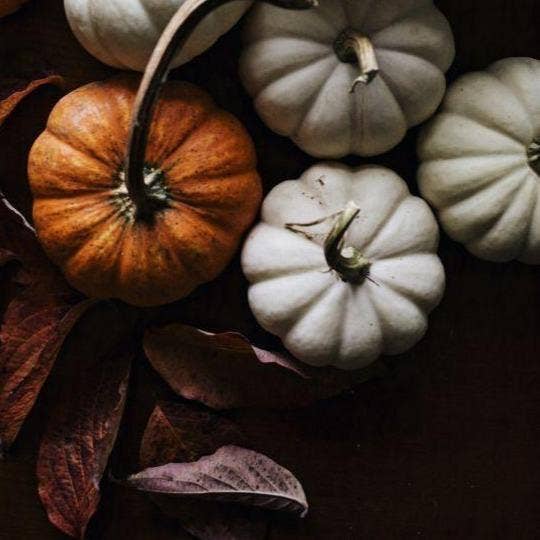 Autumn Festival 6 oz.