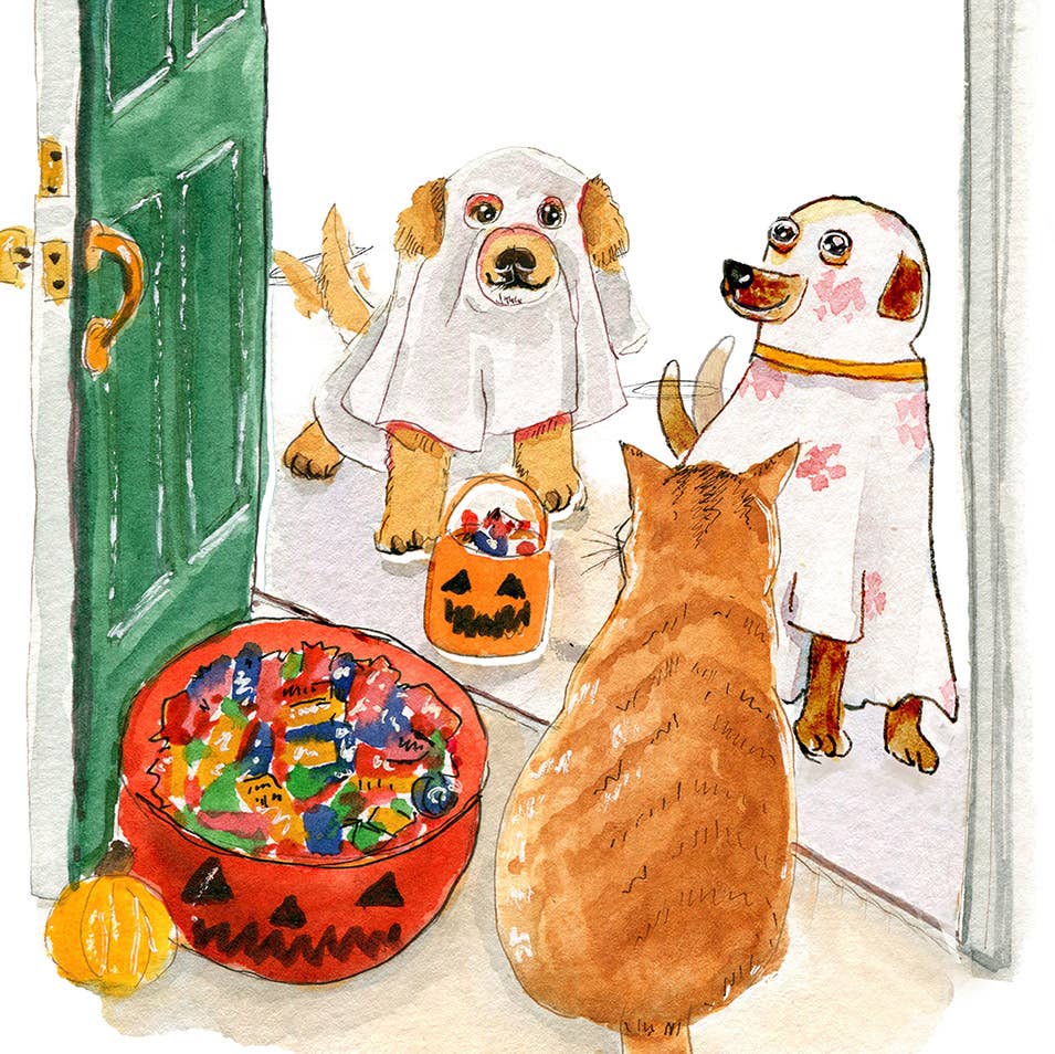 Trick Or Treat - Funny Halloween Card