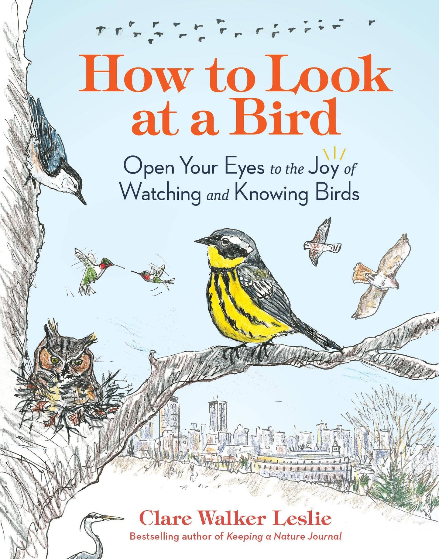 How to Look at a Bird by Clare Walker Leslie