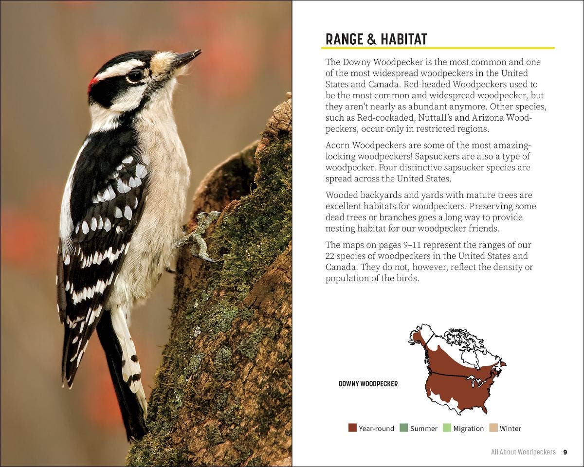 Attracting & Feeding Woodpeckers (Paperback)