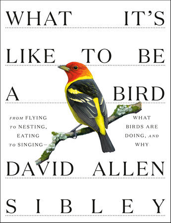 What It's Like to Be a Bird by David Allen Sibley (Hardcover)