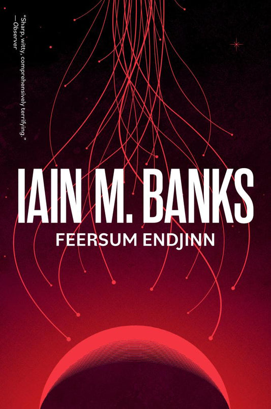 Feersum Endjinn by Iain M. Banks