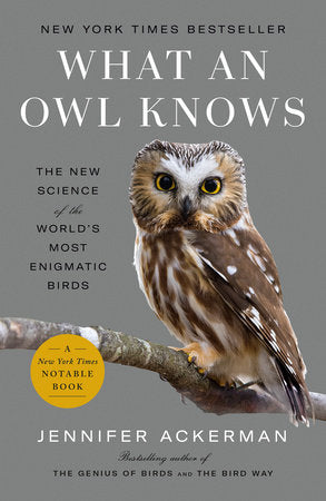 What an Owl Knows by Jennifer Ackerman (Paperback)